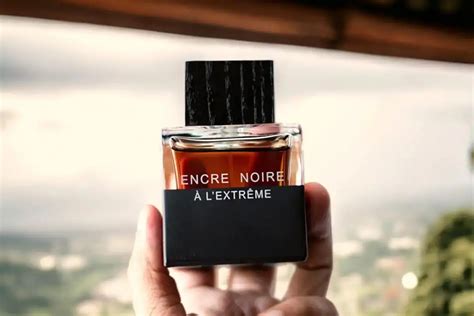 encre noire vs terre d hermes|Lalique Encre Noire Review: A Forest, But A Lonely One.